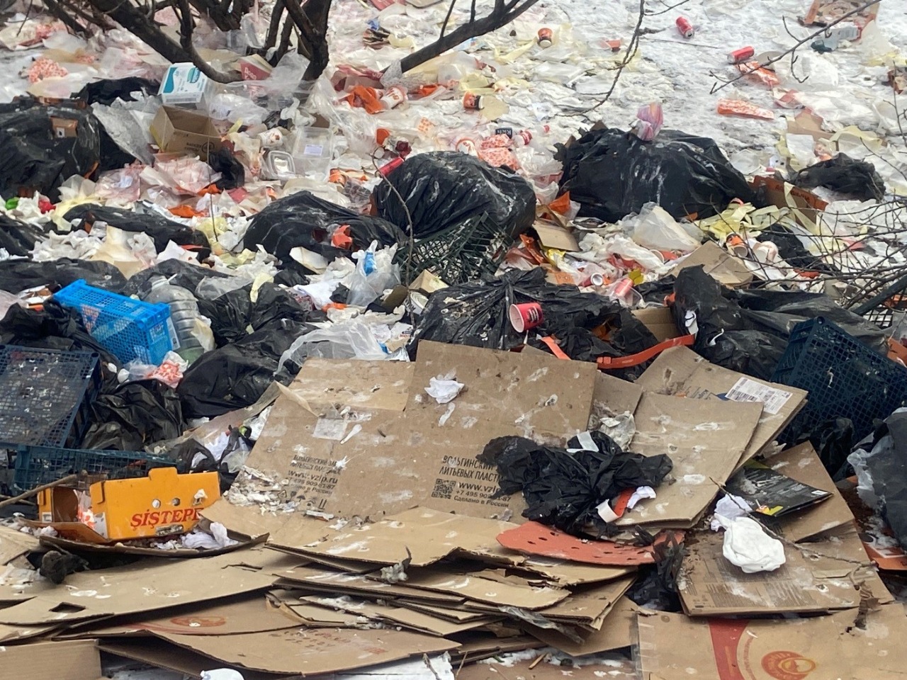 В Ачинске муниципальными инспекторами обнаружен сброс бытовых, пищевых отходов.