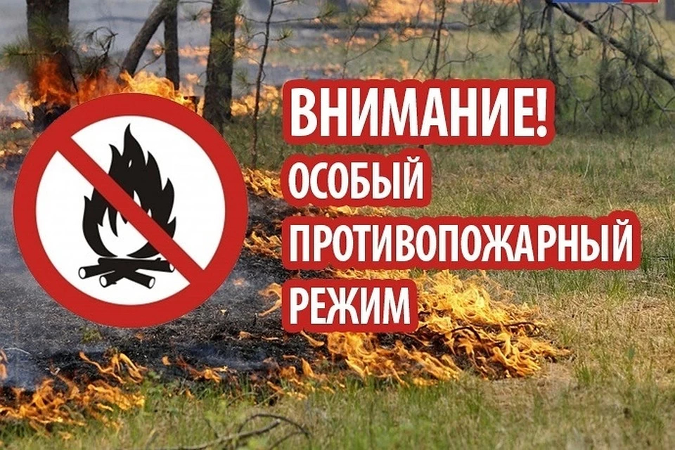 На территории Красноярского края вводится особый противопожарный режим!.