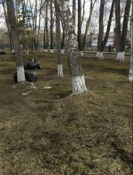 В Ачинске уже стартовала массовая апрельская уборка.